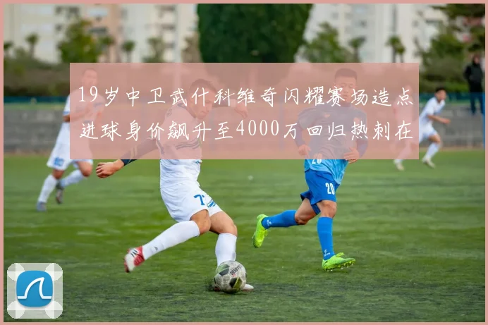 19岁中卫武什科维奇闪耀赛场造点进球身价飙升至4000万回归热刺在即